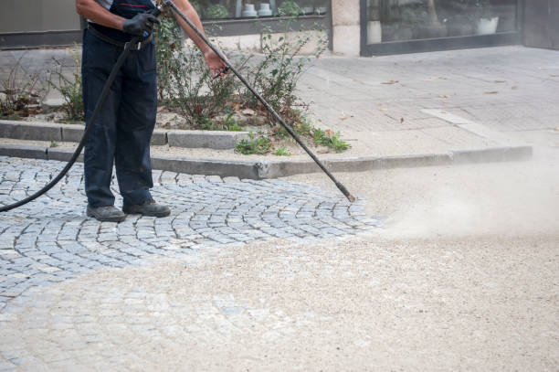 Best Gutter Cleaning and Brightening in Santa Rosa, CA